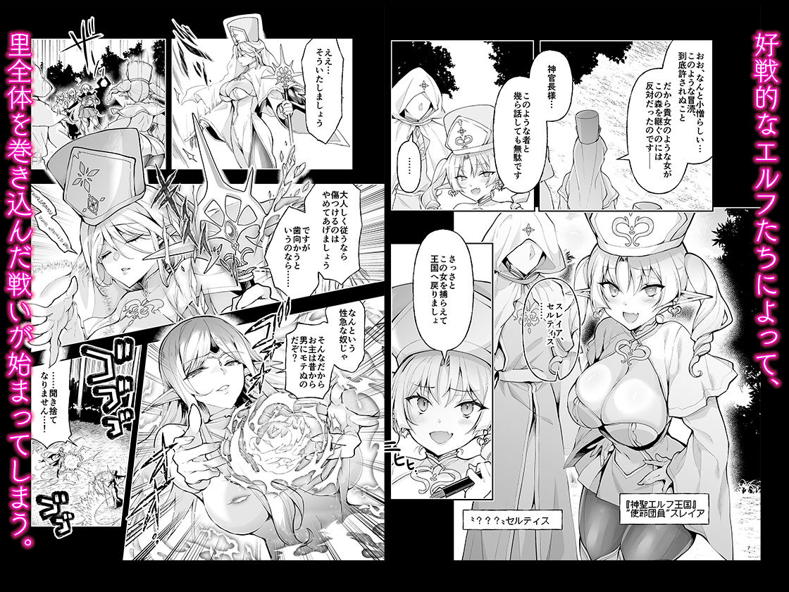 エルフに淫紋を付ける本 LEVEL:9【にのこや】