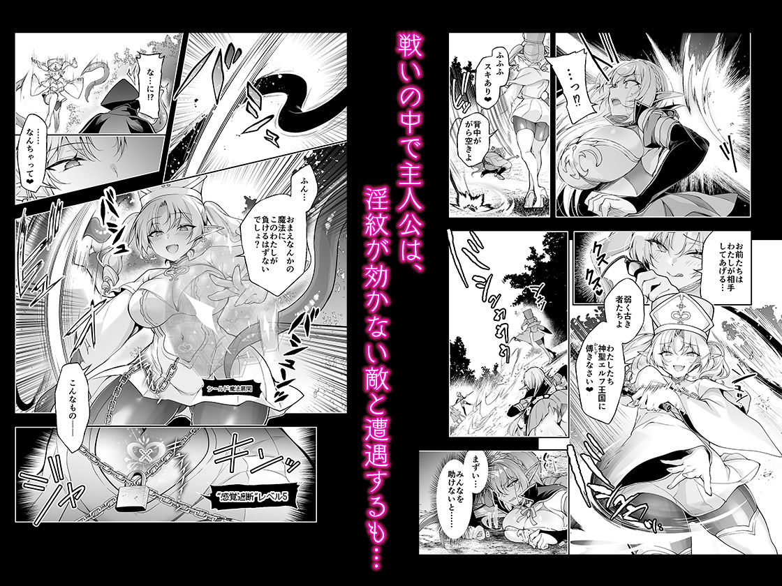 エルフに淫紋を付ける本 LEVEL:9【にのこや】