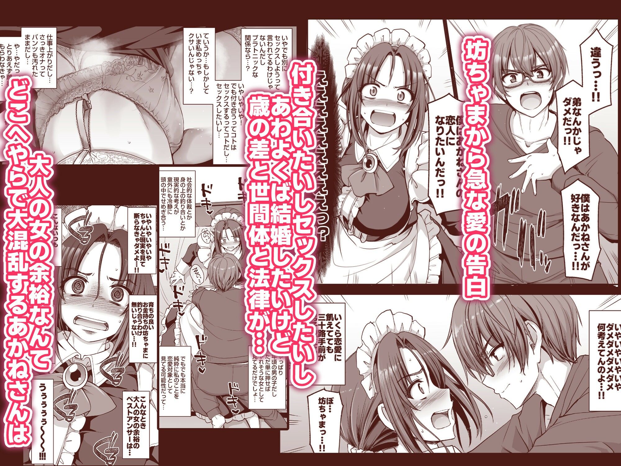 ポンコツ独身メイドあかねさん（28）【人生横滑り】